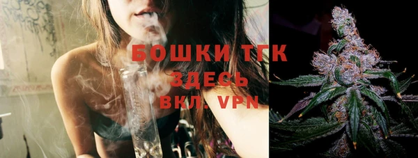 дживик Белокуриха