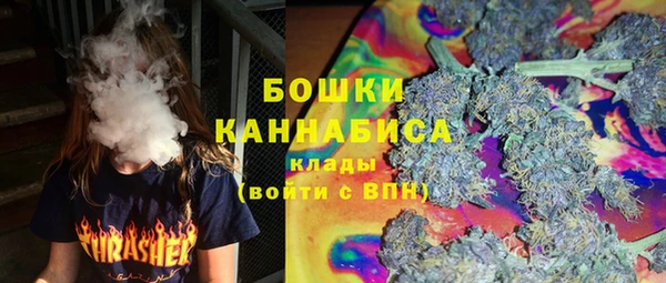 дживик Балахна