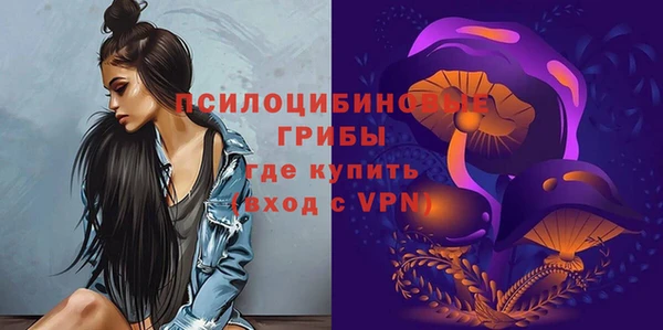 дживик Балахна