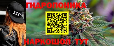 герыч Гатчина