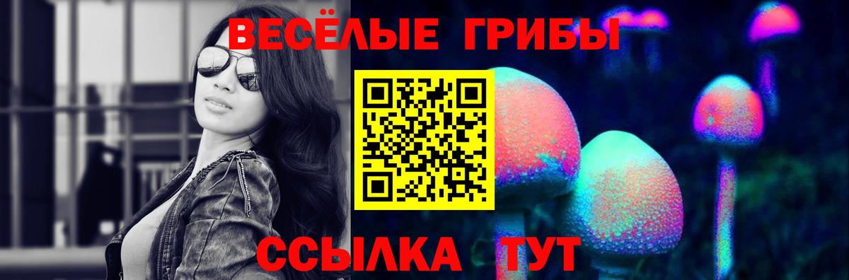 Псилоцибиновые грибы мицелий  Псилоцибиновые грибы MAGIC MUSHROOMS  Городец  Вход с VPN 