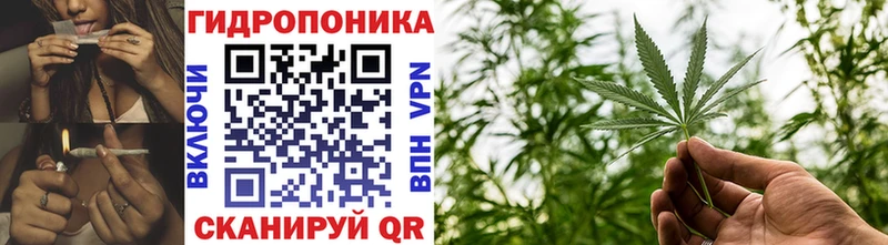 hydra как зайти  где купить наркоту  Городец  Конопля LSD WEED 